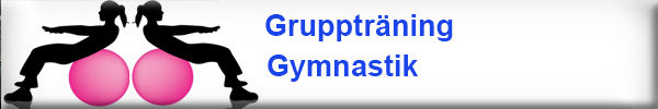 Gymnastik och gruppträning i Lysekil